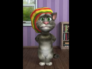 bob marley the cat :d